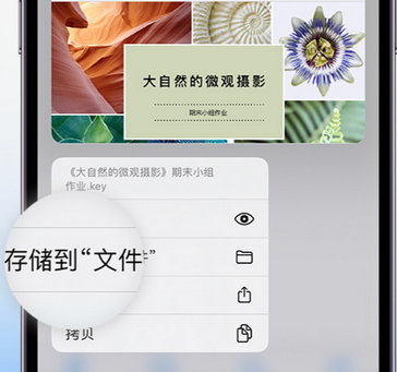 太康apple维修中心分享iPhone文件应用中存储和找到下载文件