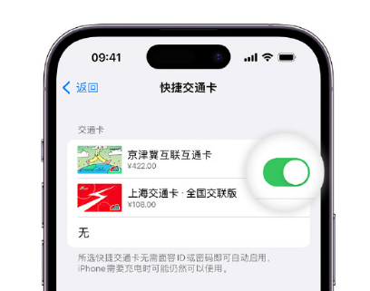 太康apple维修点分享iPhone上更换Apple Pay快捷交通卡手绘卡面 