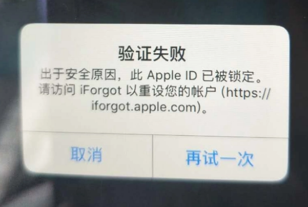 太康iPhone维修分享iPhone上正常登录或使用AppleID怎么办 