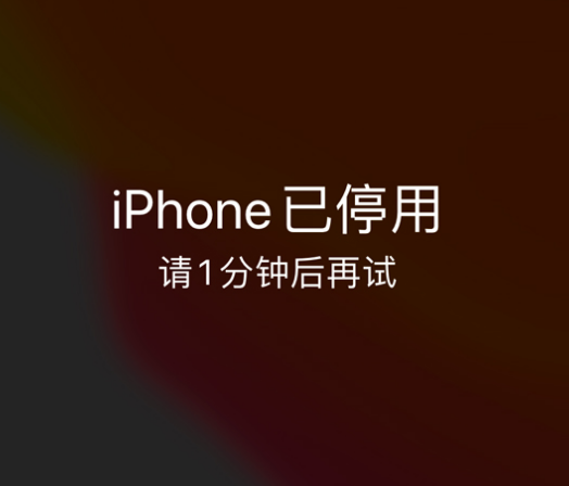 太康苹果手机维修分享:iPhone 显示“不可用”或“已停用”怎么办？还能保留数据吗？ 