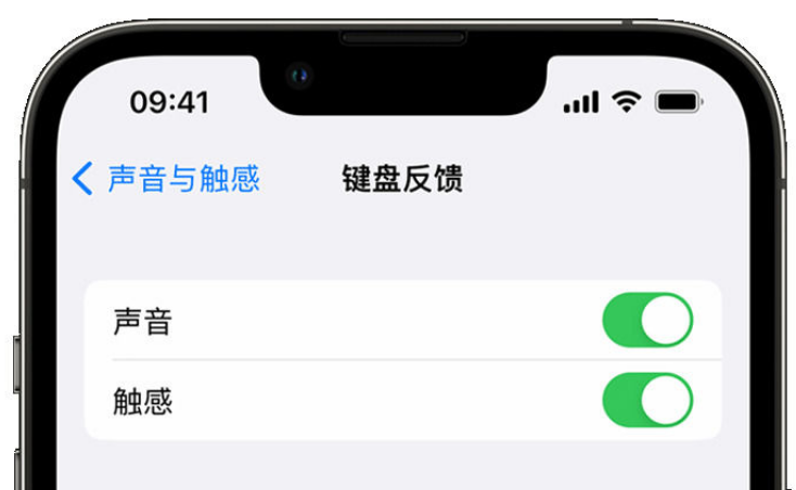 太康苹果手机维修分享iPhone 14触感键盘使用方法 