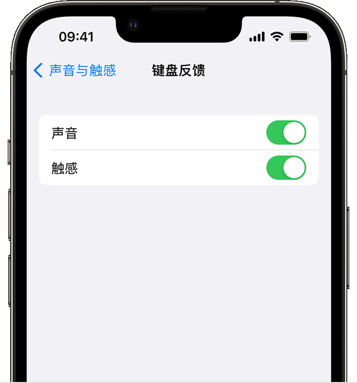 太康苹果14维修店分享如何在 iPhone 14 机型中使用触感键盘 