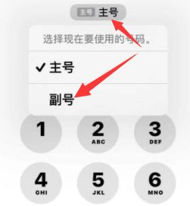 太康苹果14维修店分享iPhone 14 Pro Max使用副卡打电话的方法 