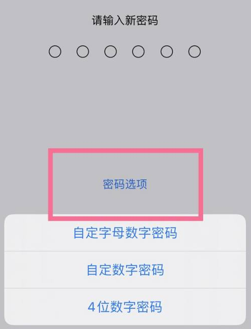 太康苹果14维修分享iPhone 14plus设置密码的方法 