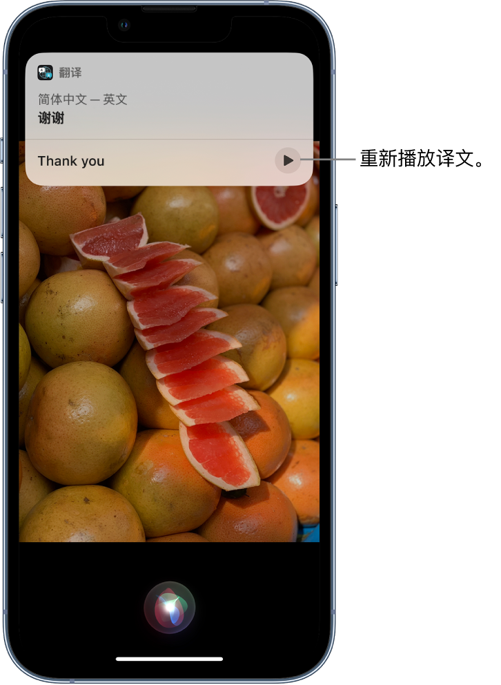 太康苹果14维修分享 iPhone 14 机型中使用 Siri：了解 Siri 能帮你做什么 