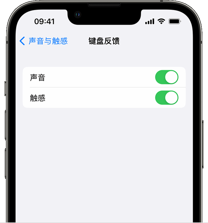 太康苹果14维修分享iPhone 14 系列机型如何开启键盘声音或触感反馈 