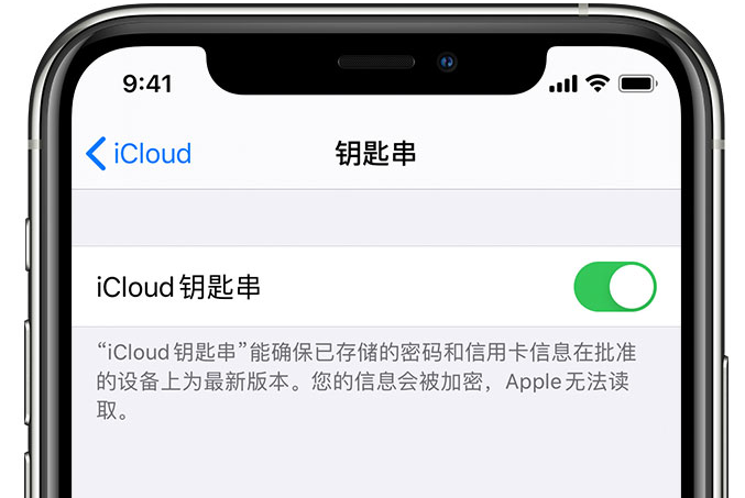 太康苹果手机维修分享在 iPhone 上开启 iCloud 钥匙串之后会储存哪些信息 