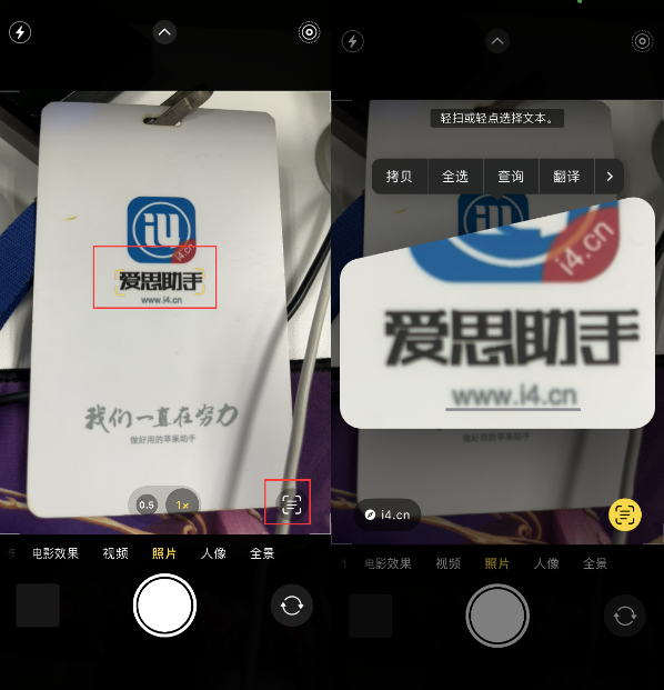 太康苹果手机维修分享升级iOS 16后如何通过相机翻译文本 