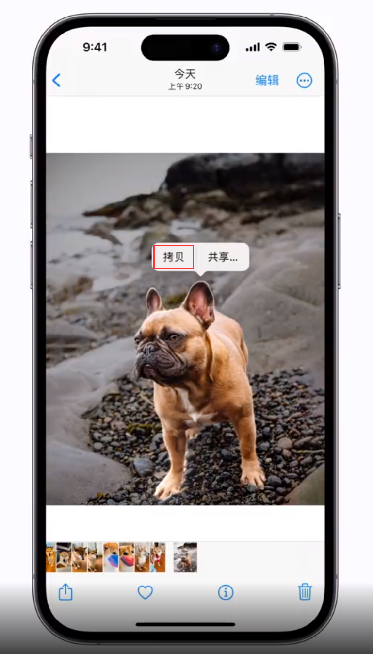 太康苹果手机维修分享 iOS 16 自带一键抠图功能 