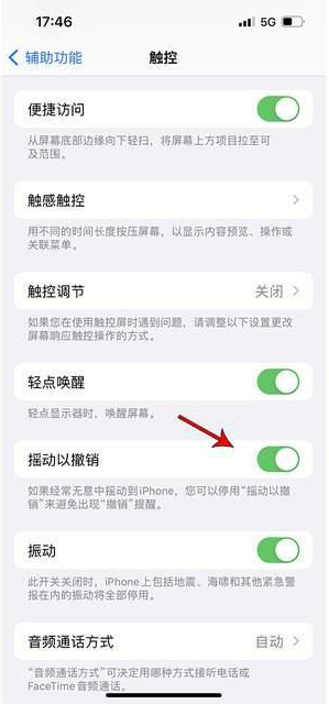 太康苹果手机维修分享iPhone手机如何设置摇一摇删除文字 