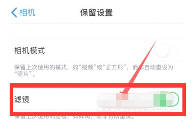 太康苹果13维修分享iPhone13拍照有绿点是怎么回事 