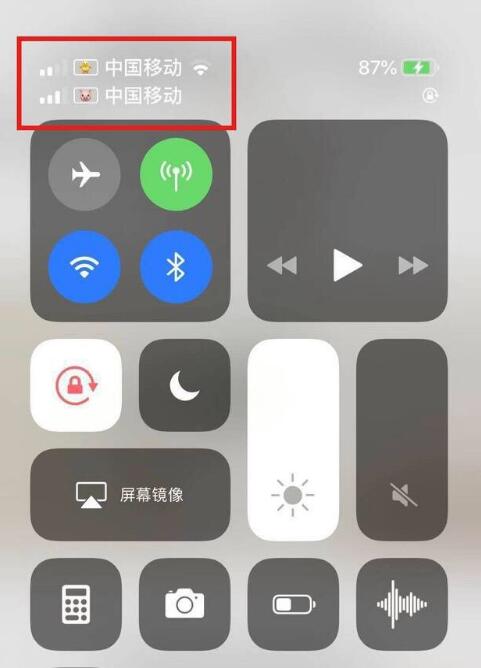 太康苹果手机维修分享为 iPhone 12 双卡设置标签 